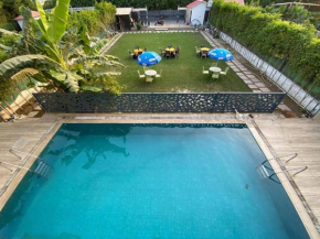 GoBravo 12- Vansh 4BHK Farm with Pool & Garden Sector 135 Noida